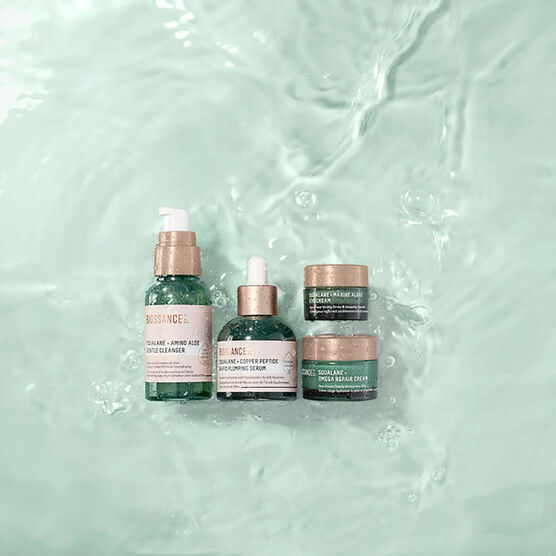 Kit Rotina de Hidratação Biossance PLUMP AND HYDRATE SET